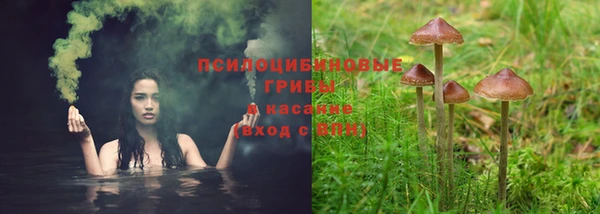 скорость Богородск