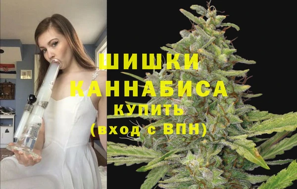 мдпв Бугульма