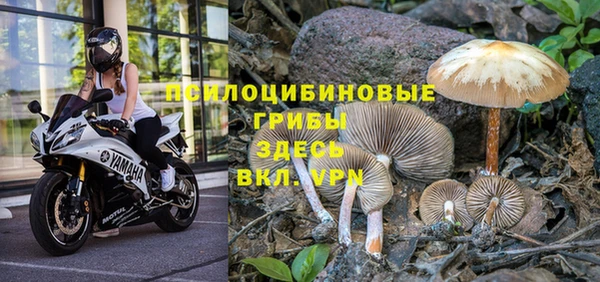 скорость mdpv Богданович