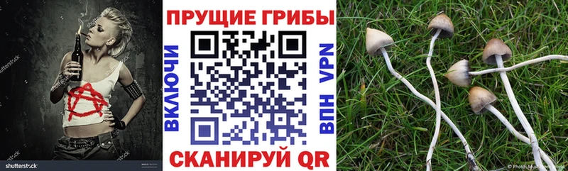 Псилоцибиновые грибы мицелий Саяногорск
