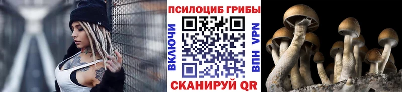 Галлюциногенные грибы Cubensis  магазин продажи наркотиков  Саяногорск 