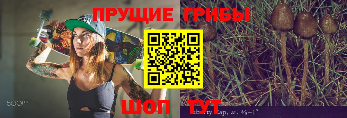 Галлюциногенные грибы ЛСД  Псилоцибиновые грибы Psilocybe  Вход с VPN  Саяногорск 